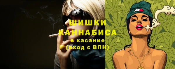 альфа пвп Заводоуковск