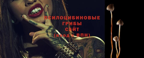 apvp Заволжск