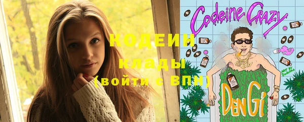 альфа пвп Заводоуковск