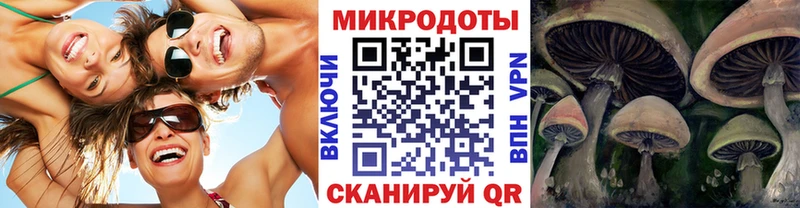 Купить где  Балтийск  Галлюциногенные грибы прущие грибы 